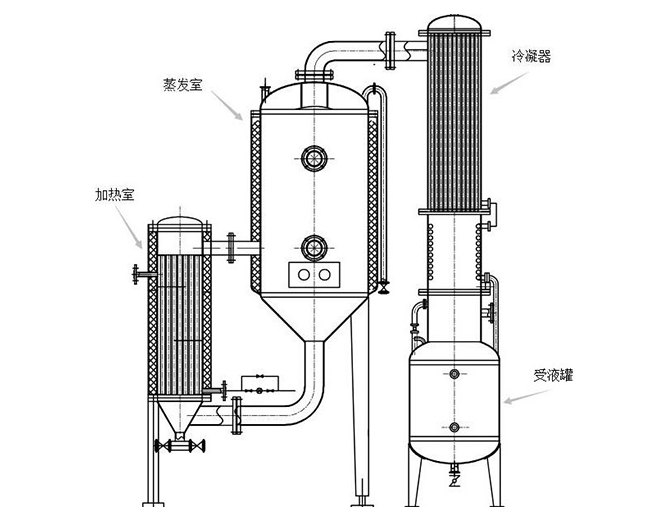 單效濃縮器結(jié)構(gòu)